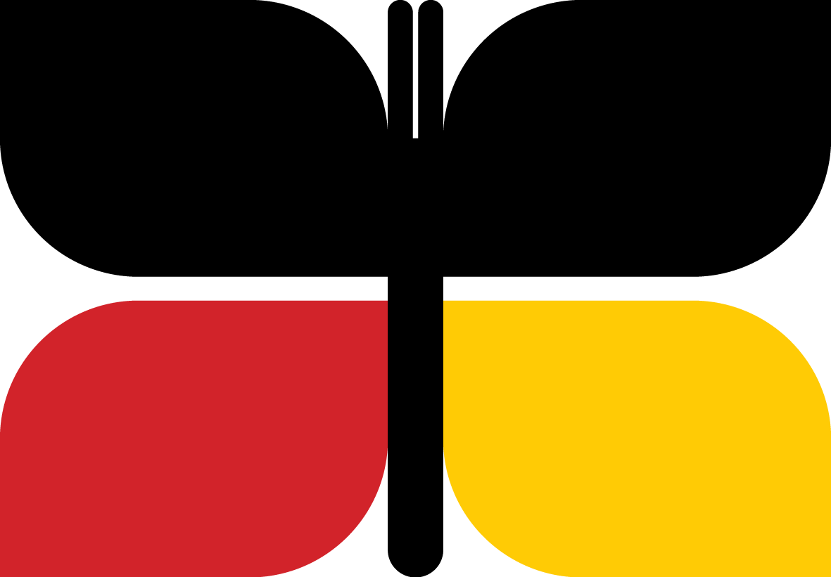 Support for the Voice to Parliament 